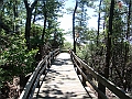 Western Michigan [2010] 025